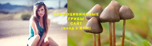 гидра Армянск