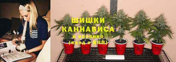 гидропоника Пролетарск
